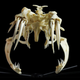 Illustration for article titled This is a real skull from a real animal and it may just be the most terrifying thing ever